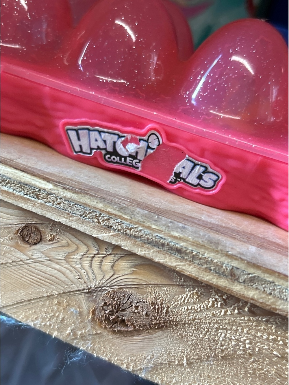 Hatchimals Colleggtibles Pink Glitter Egg Case with Mini Figures
